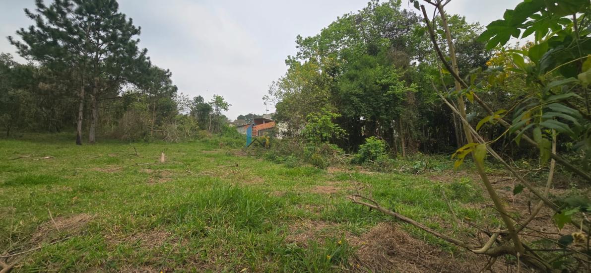 terreno-venda-lagoa-itapecerica-da-serra-1028005