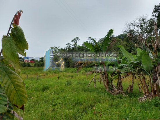 chacara-venda-santa-rita-do-ribeira-embu-guacu-728717