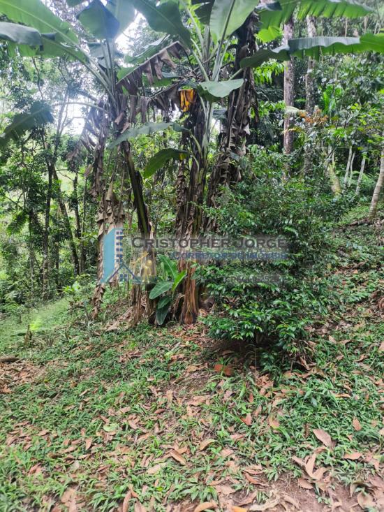 chacara-venda-jardim-da-serra-sao-lourenco-da-serra-1016919