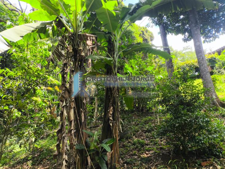 chacara-venda-jardim-da-serra-sao-lourenco-da-serra-1016922