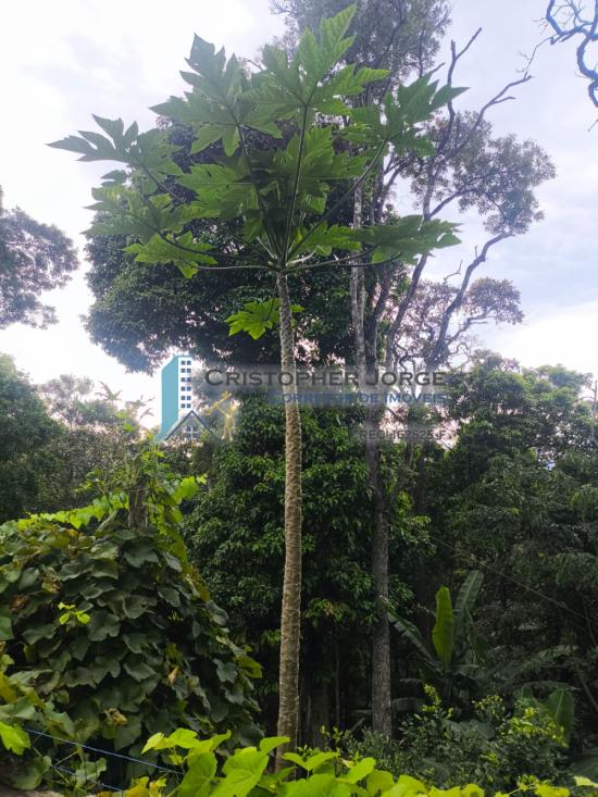 chacara-venda-jardim-da-serra-sao-lourenco-da-serra-1016924