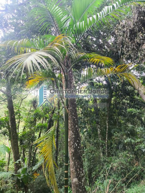 chacara-venda-jardim-da-serra-sao-lourenco-da-serra-1016925