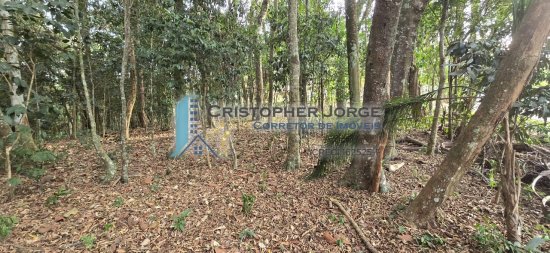 terreno-em-condominio-venda-recanto-da-floresta-itapecerica-da-serra-885700