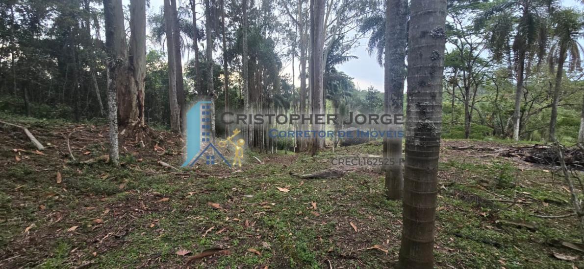 sitio-venda-mombaca-itapecerica-da-serra-1012033