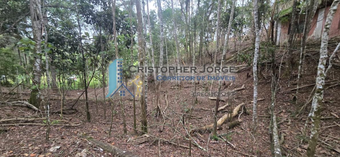 sitio-venda-mombaca-itapecerica-da-serra-1012042