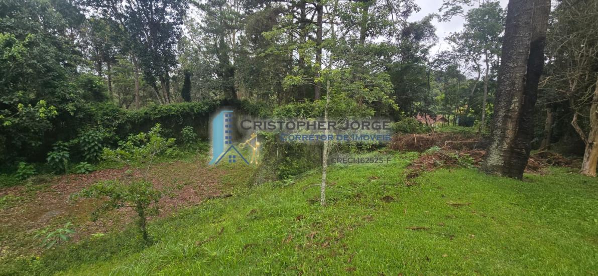 chacara-aluguel-jardim-nisalves-itapecerica-da-serra-1016011