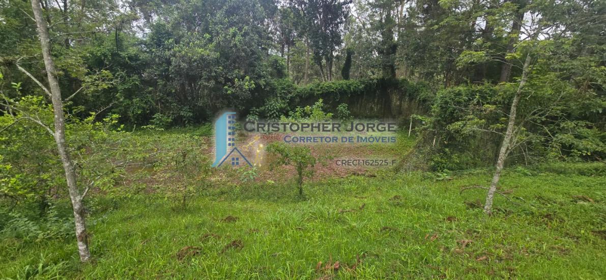 chacara-aluguel-jardim-nisalves-itapecerica-da-serra-1016012