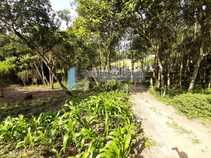 terreno-venda-mombaca-itapecerica-da-serra-1008578