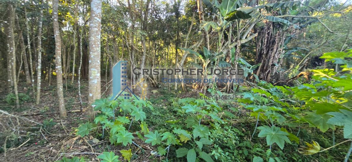 terreno-venda-jardim-renata-itapecerica-da-serra-1004320