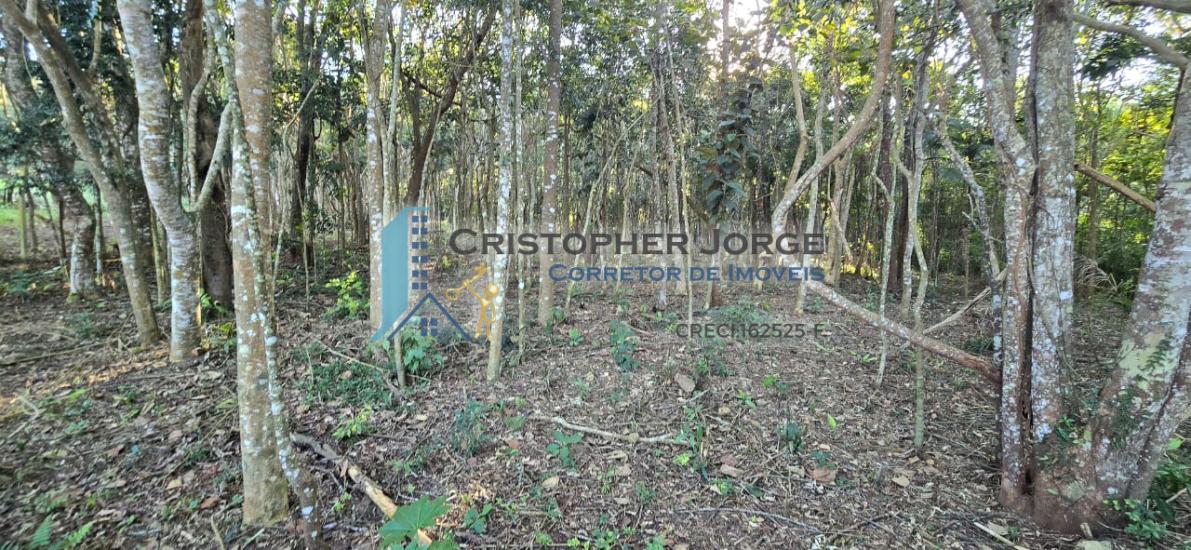 terreno-venda-jardim-renata-itapecerica-da-serra-1004321