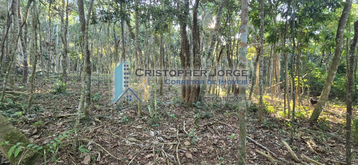 terreno-venda-jardim-renata-itapecerica-da-serra-1004322