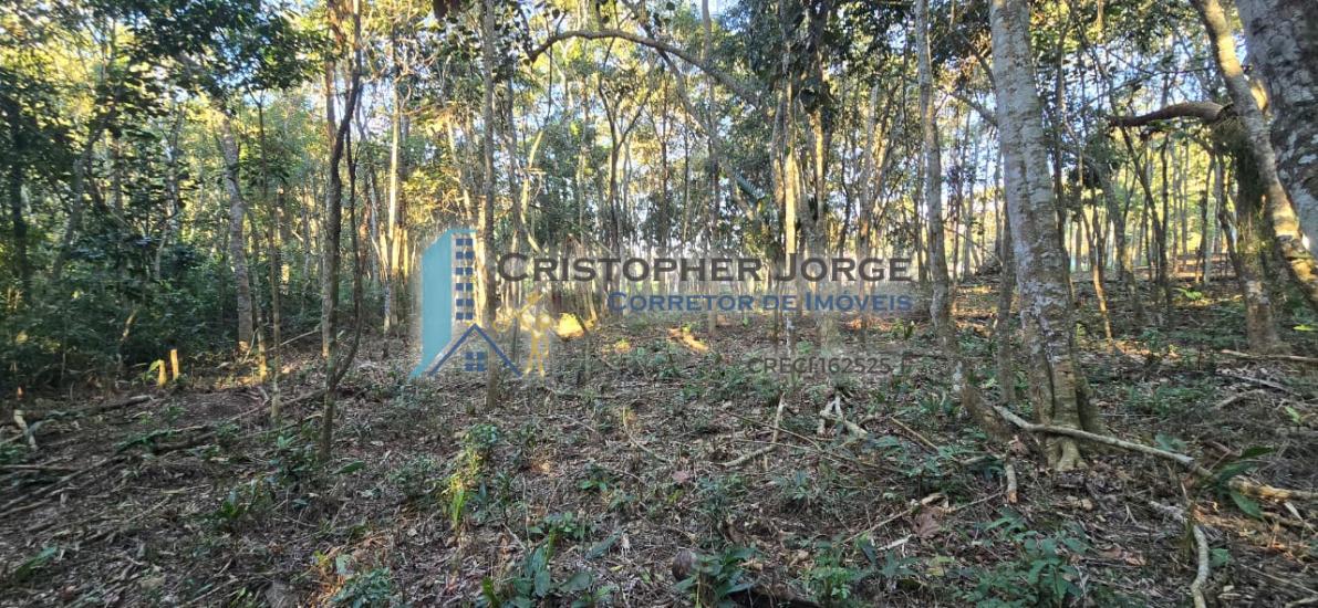 terreno-venda-jardim-renata-itapecerica-da-serra-1004323