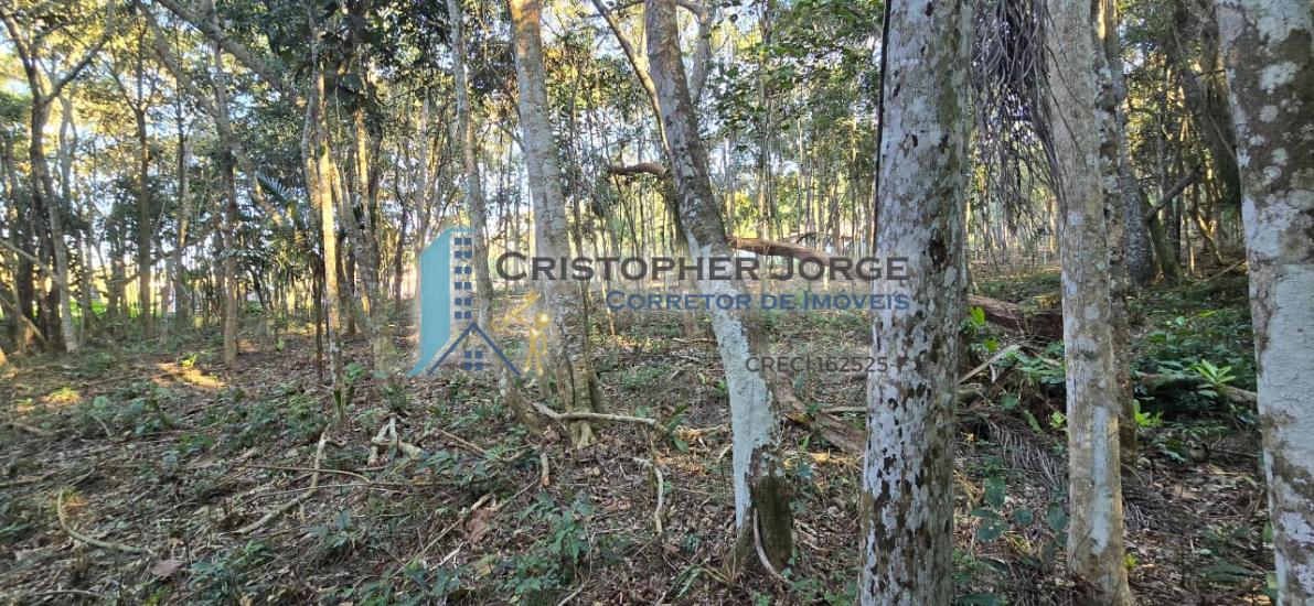 terreno-venda-jardim-renata-itapecerica-da-serra-1004324