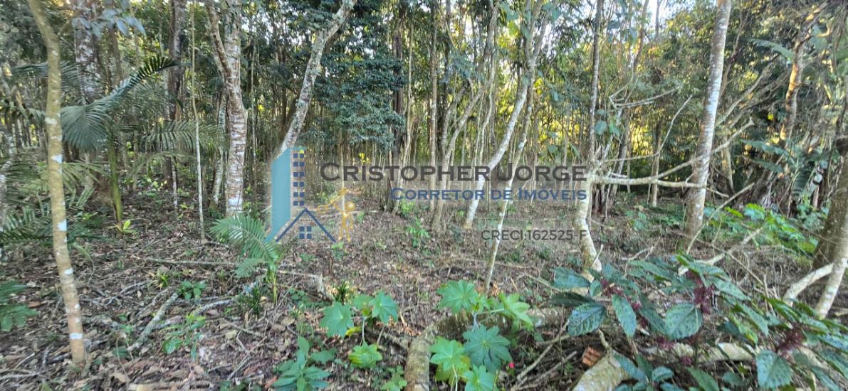 terreno-venda-jardim-renata-itapecerica-da-serra-1004325