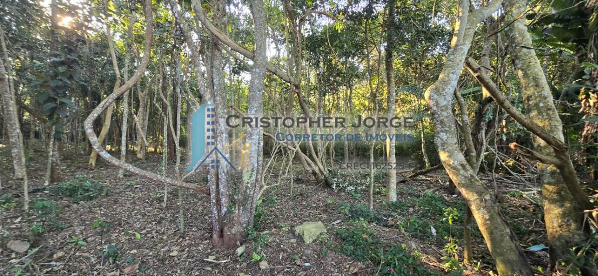 terreno-venda-jardim-renata-itapecerica-da-serra-1004326