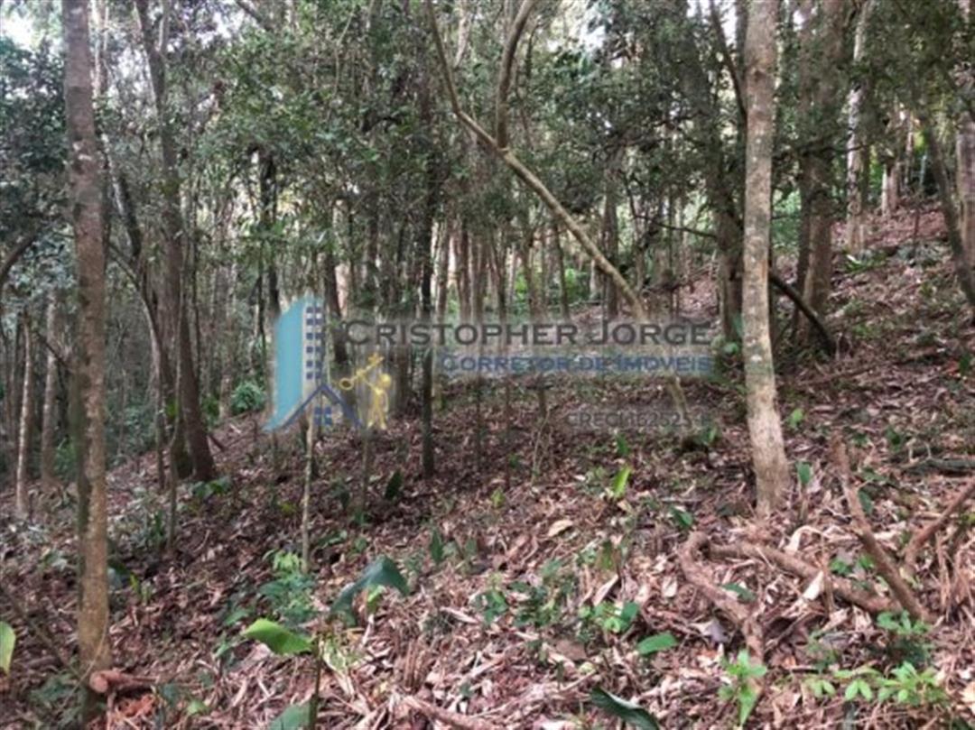 terreno-venda-parque-yara-cecy-itapecerica-da-serra-228773