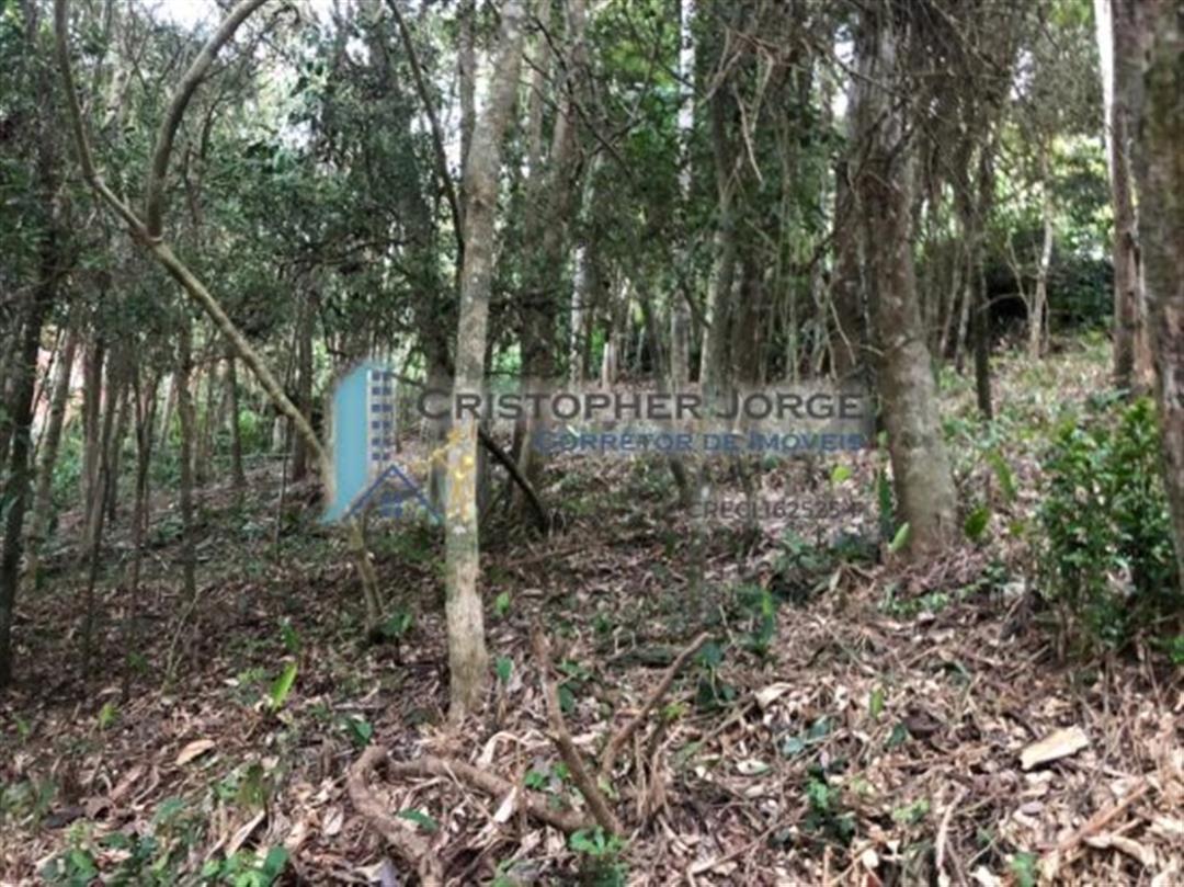 terreno-venda-parque-yara-cecy-itapecerica-da-serra-228775