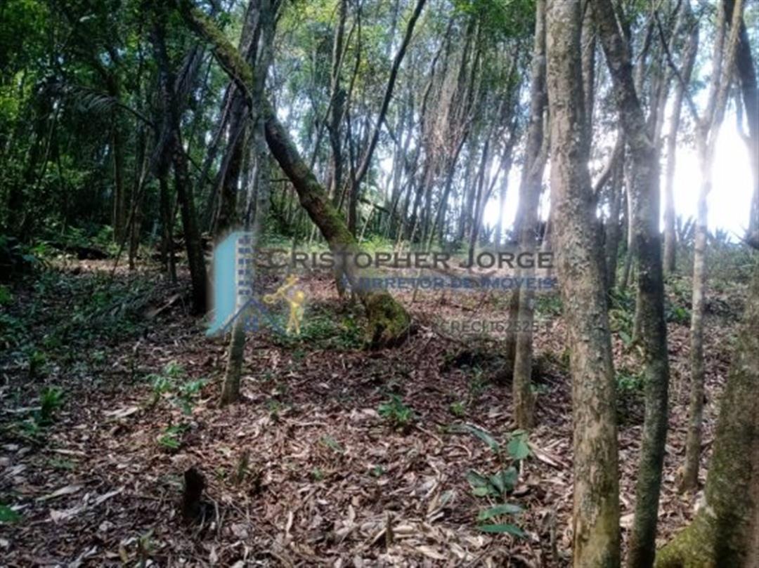 terreno-venda-jardim-tropical-embu-guacu-595776